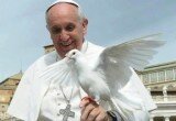 papa_paz