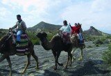 Paseo en Camello