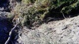 Solar La Cañada antes