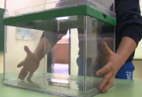 Ultimos-preparativos-elecciones-andaluzas_MDSVID20150321_0046_17