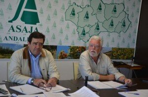 R.P ASAJA Andalucía. Presupuesto Junta 2016 OK