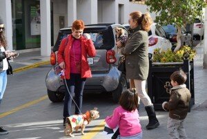 Los gadorenses están cada vez más concienciados sobre la necesidad de una tenencia responsable de sus mascotas
