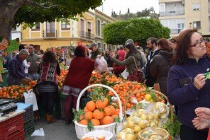 El Día de la Naranja ha permitido compartir lo mejor del municipio con los numerosos visitantes