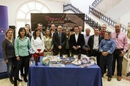 Sin-título-4-15-300x200