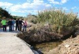 170111_rambla_loco