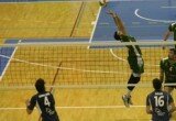 (24-03-17) unicaja - Soria temporada pasada