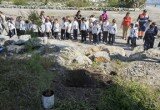 DiadelArbolRoquetas2103201711