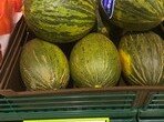 IMG_9437