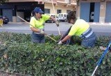 170606 Trabajos de jardinería N-340