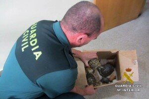 TORTUGAS_02