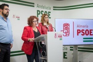 171122 Foto PSOE rp violencia de género