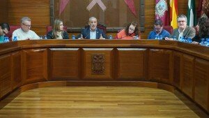 1 Desarrollo del Pleno