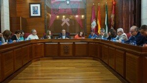 2 Desarrollo del Pleno