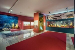 FOTO EXPOSICION BARIA 2