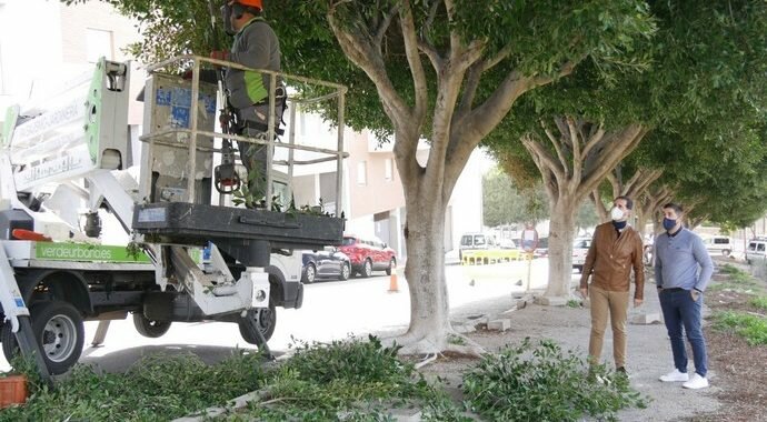 210126 Ayuntamiento inicia el plan de poda (2)