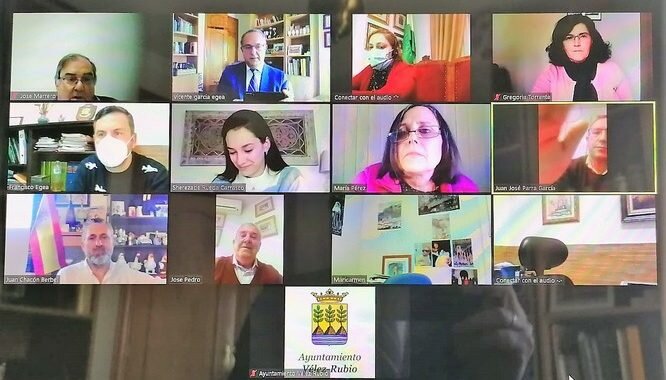 29012021 Pleno telemático despedida Vicente García