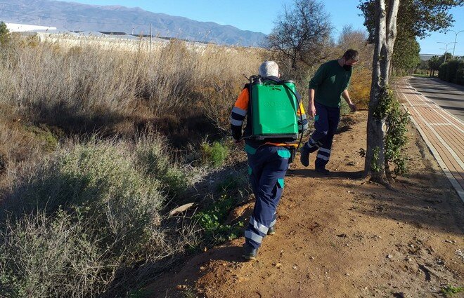 210214 Tratamiento Mosquitos (4)