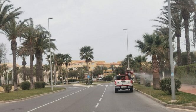 210307 Mosquitos (4)