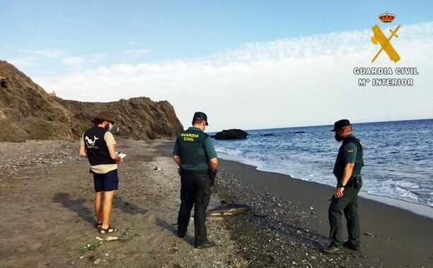 PHOTO-2021-09-01-20-21-30